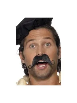 Smiffy Franse Snor Zwart