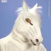 Masker Wit Paard Met Haar